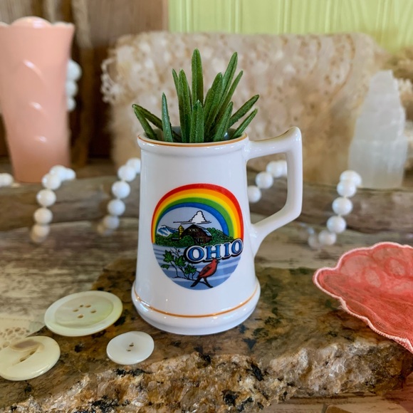 Vintage Other - Vintage Ohio Mini Mug 🌈